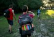 5 Things Every Disc Golfer Should Have in Their Bag